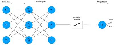 The determinants of investment fraud: A machine learning and artificial intelligence approach